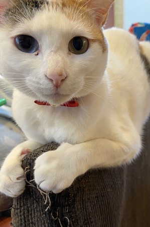 721815F6-A586-4E87-8E05-48CAAFEAC7C1