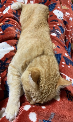 2A084206-2ECD-48CC-8592-66619151E25B