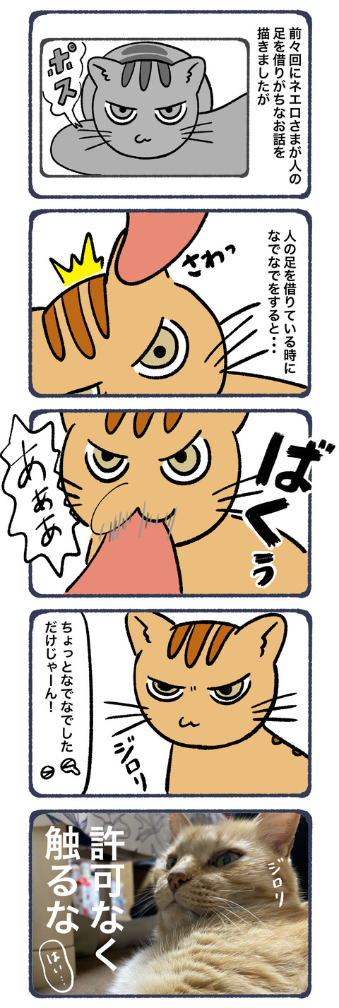 ネエロさま許可証