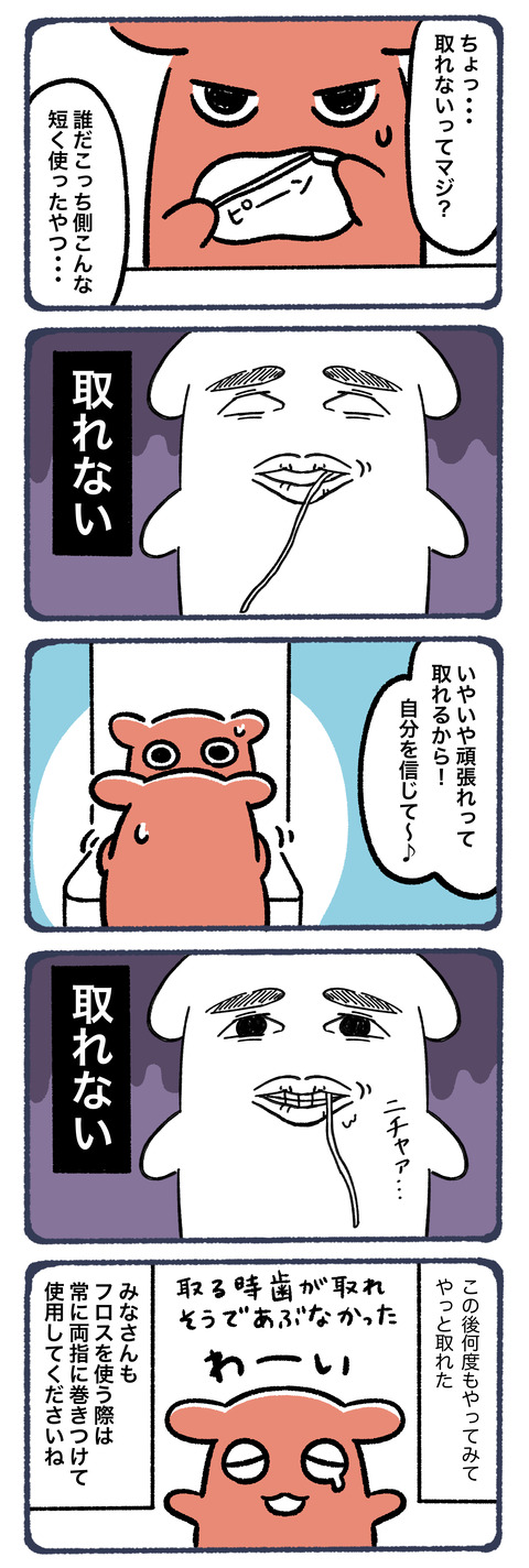 デンタルフロスは惜しみなく使え4