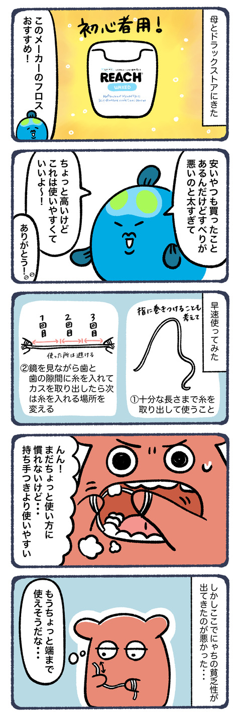 デンタルフロスは惜しみなく使え2