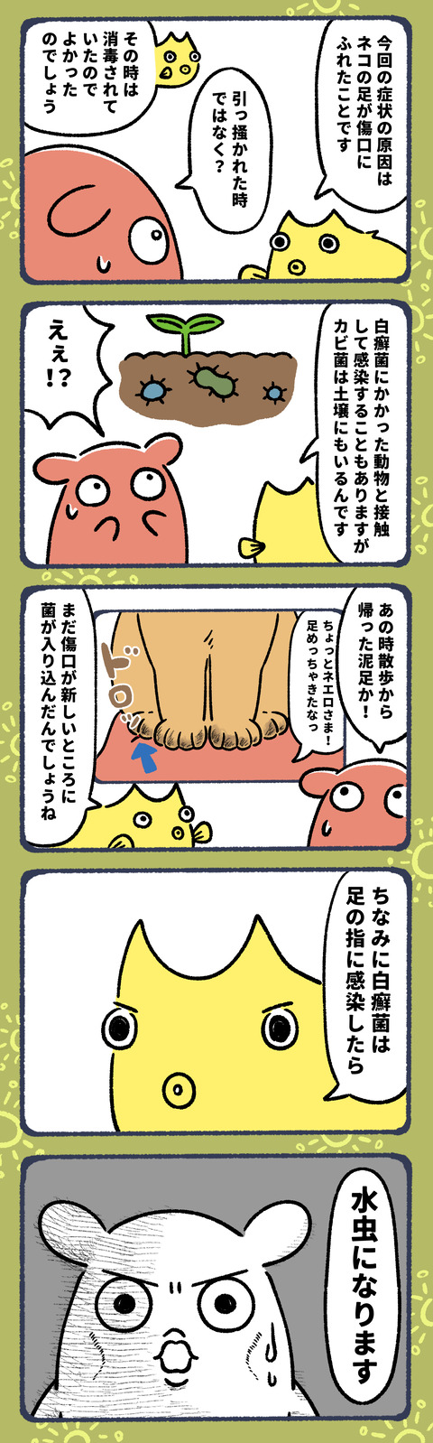 大好きなネコにカビ菌もらった8