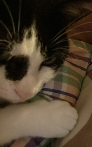 3436FA78-2ED8-44BA-8BE3-571B1CF3F19F