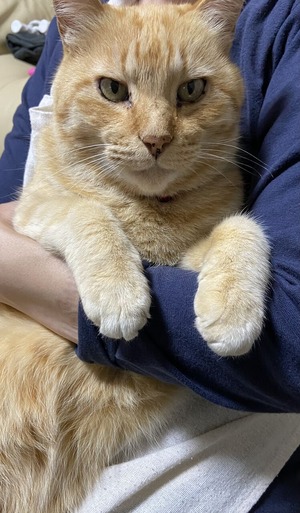 72445016-0FB8-43ED-A692-7B883797A25E