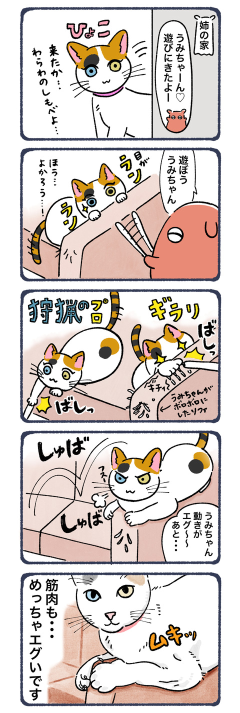 鍛えられた筋肉