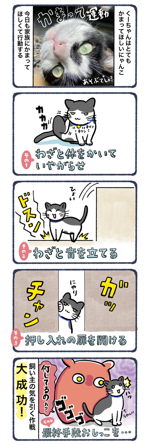 飼い主の気をひく方法