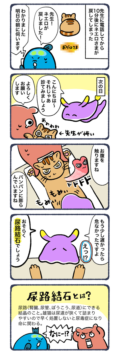 尿路結石2