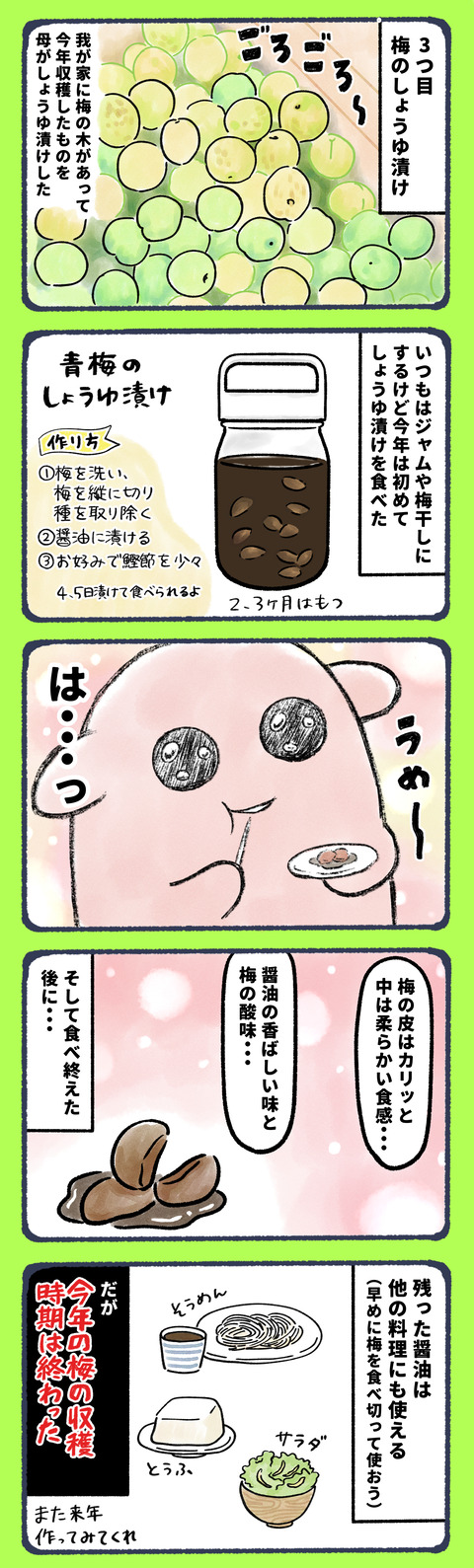 この夏どハマりした食べ物3