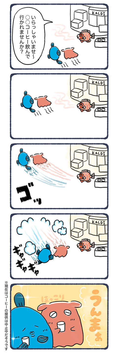 24話カルディの吸引力