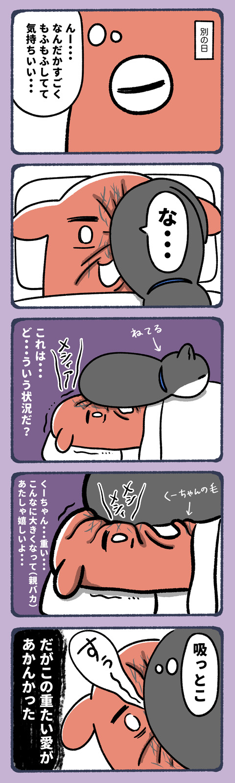 愛ゆえに目もらい4