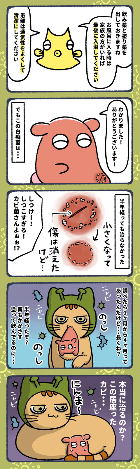 大好きなネコにカビ菌もらった9