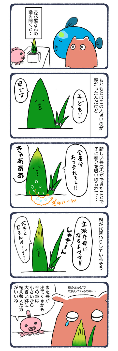 21話　サン2