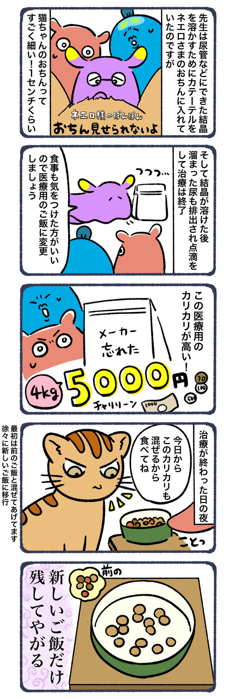 尿路結石4