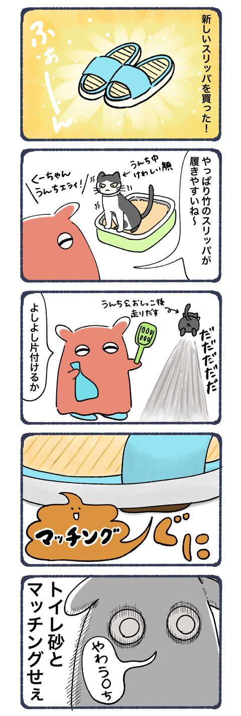 買いたてほやほや