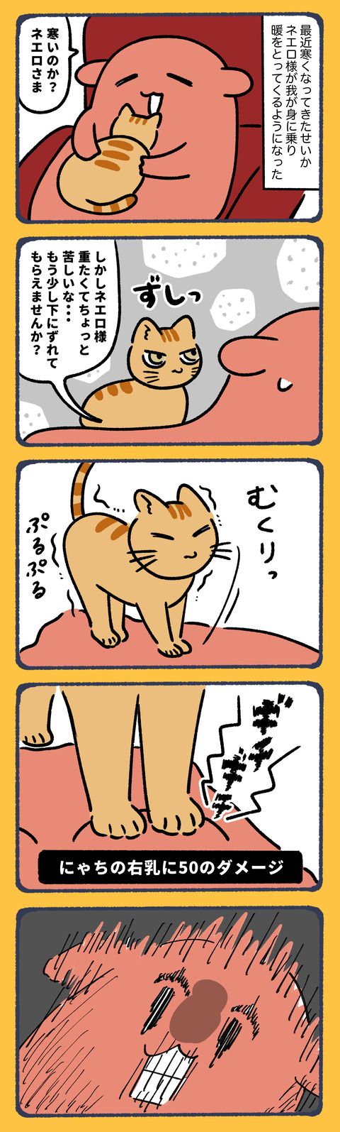 遠慮がない猫