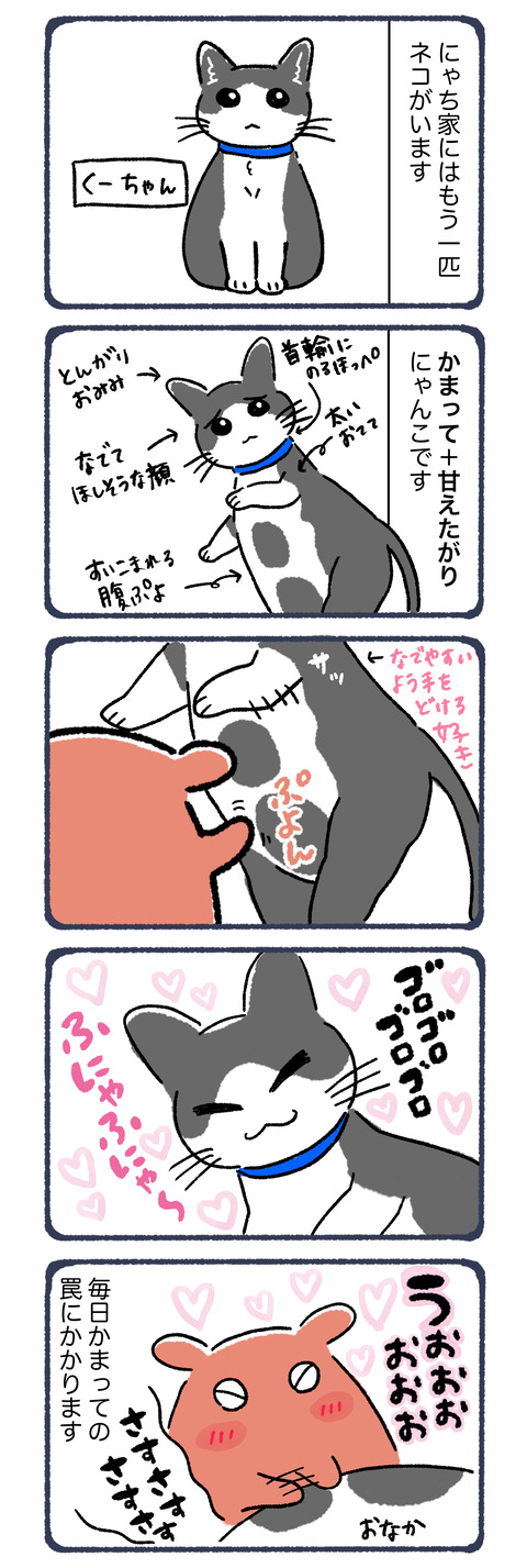 16話　くーちゃん