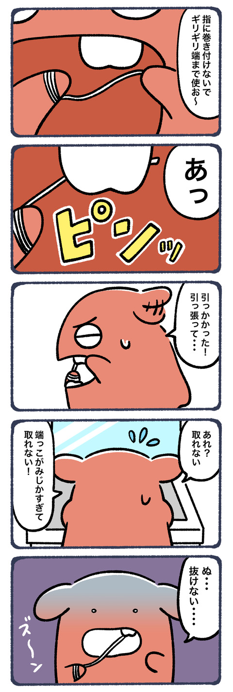 デンタルフロスは惜しみなく使え3