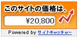 サイトキャッチャーバナー