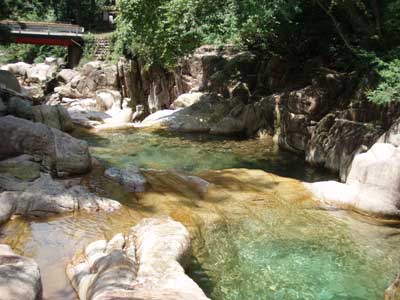 ソコソコ人が来るグルメブログの作り方 基本編 Twitterやfacebookで結果を出す はちえん の中の人