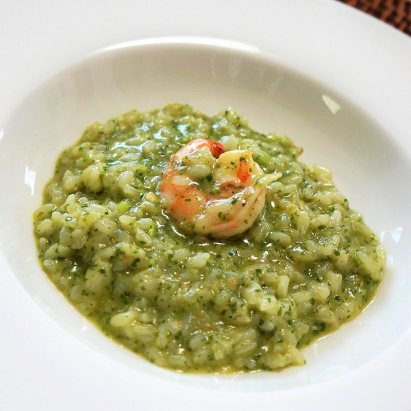 ¥Ñ¥¯¥Á¡¼¤Î¥ê¥¾¥Ã¥È NYCooking 09831(3)