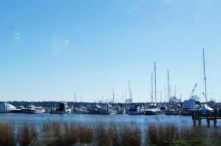 DSC06977 (2)