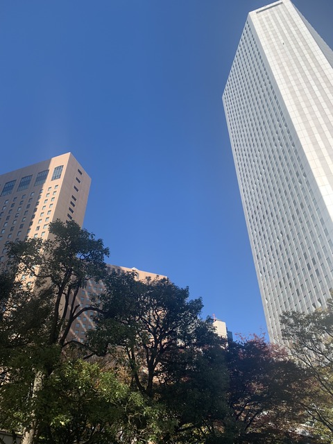 FC78E059-B02A-4B28-8508-6BCC2660C684