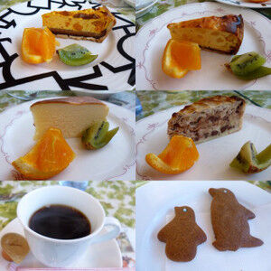 Img_2623 Img_2623