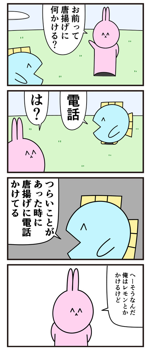 唐揚げに何かける