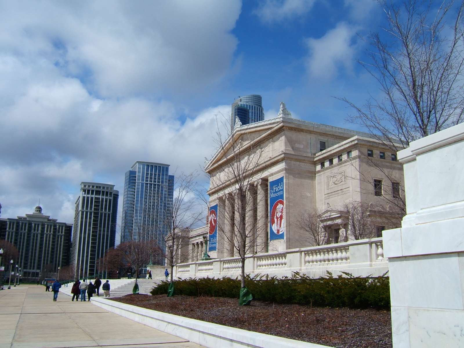 フィールド自然史博物館 ニョロログｉｎシカゴ