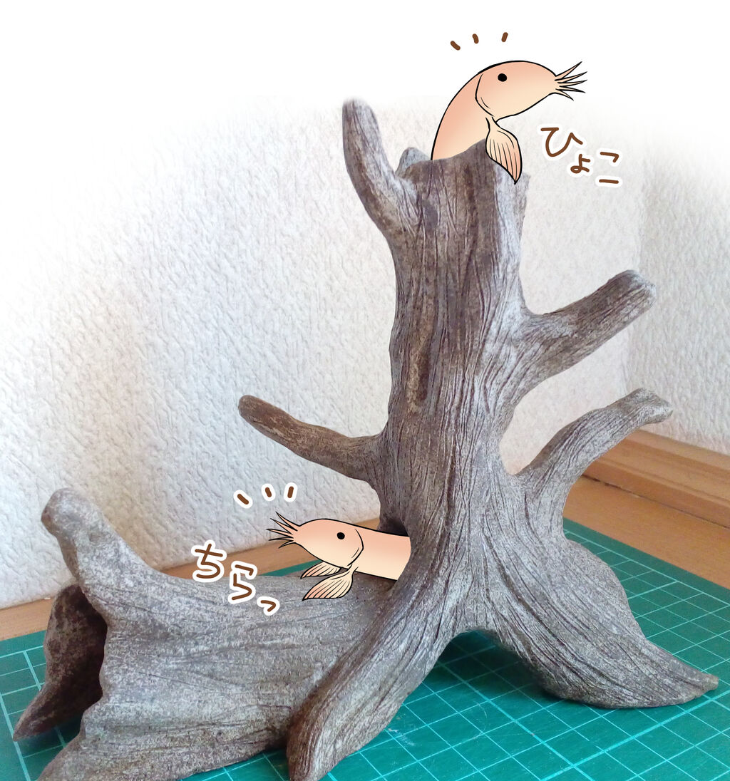 どじょうの隠れ家を作ってみた どじょっこ帳