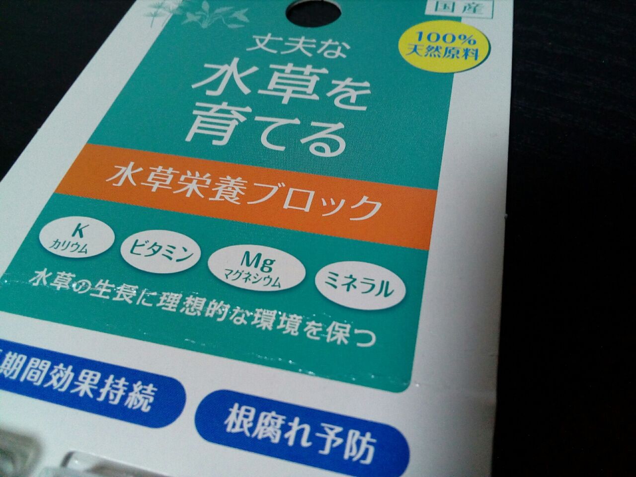 それぞれの春 どじょっこ帳