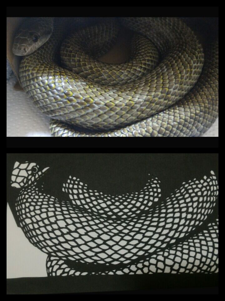 アオダイショウ切り絵3 ニョロンとケロン アオダイショウ切り絵3 ニョロンとケロン