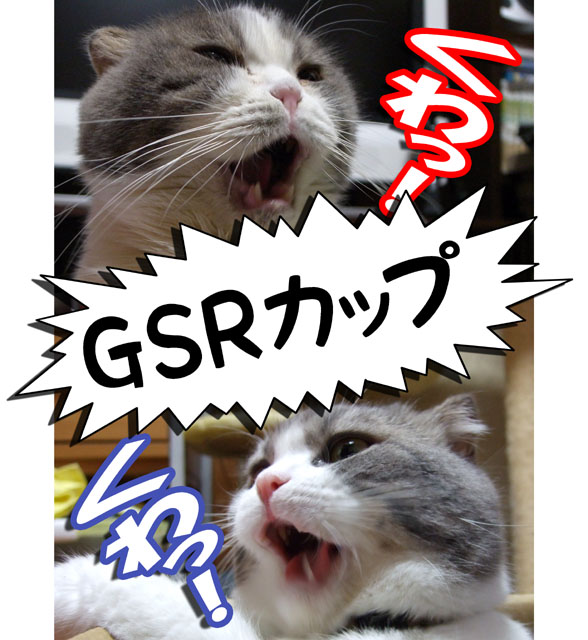 gsr004
