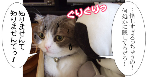 おっととっとネタだぜ 猫バカとバカ猫