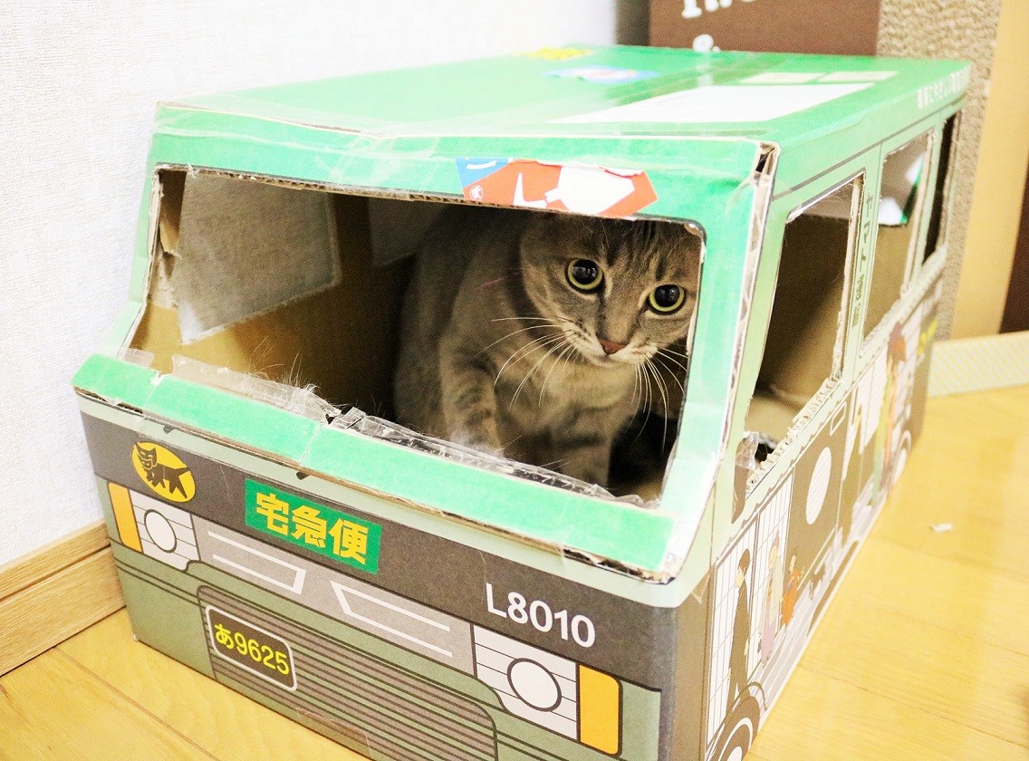 クロネコヤマトの段ボール 新ｙ商店の仁義無き人々