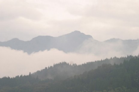 01e50420.jpg