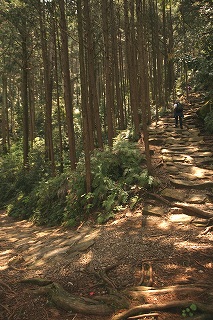 0651630d.jpg