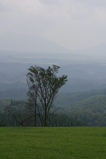 11b257c0.jpg