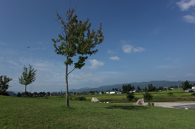14886c91.jpg
