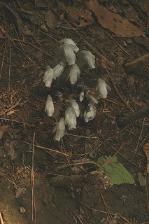 407a21df.jpg