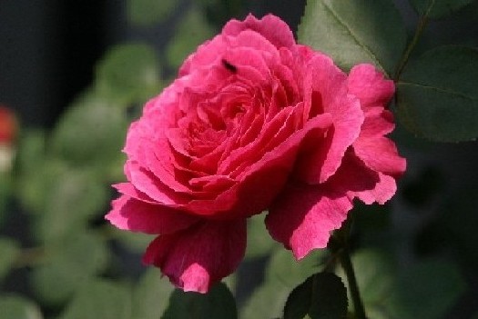 6341d138.JPG