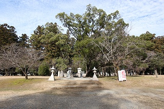 70594dde.jpg