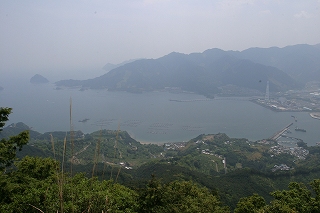 74499cd6.jpg