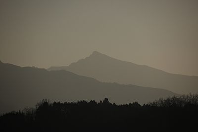 021