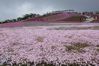 IMG_5232