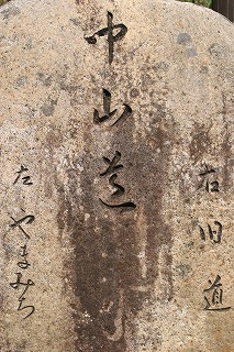 8d01abe3.jpg