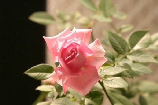 9bb028c3.JPG
