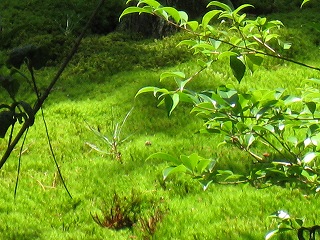 a528b756.jpg