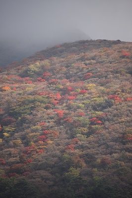 005　指山