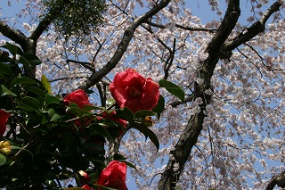 af06340d.jpg